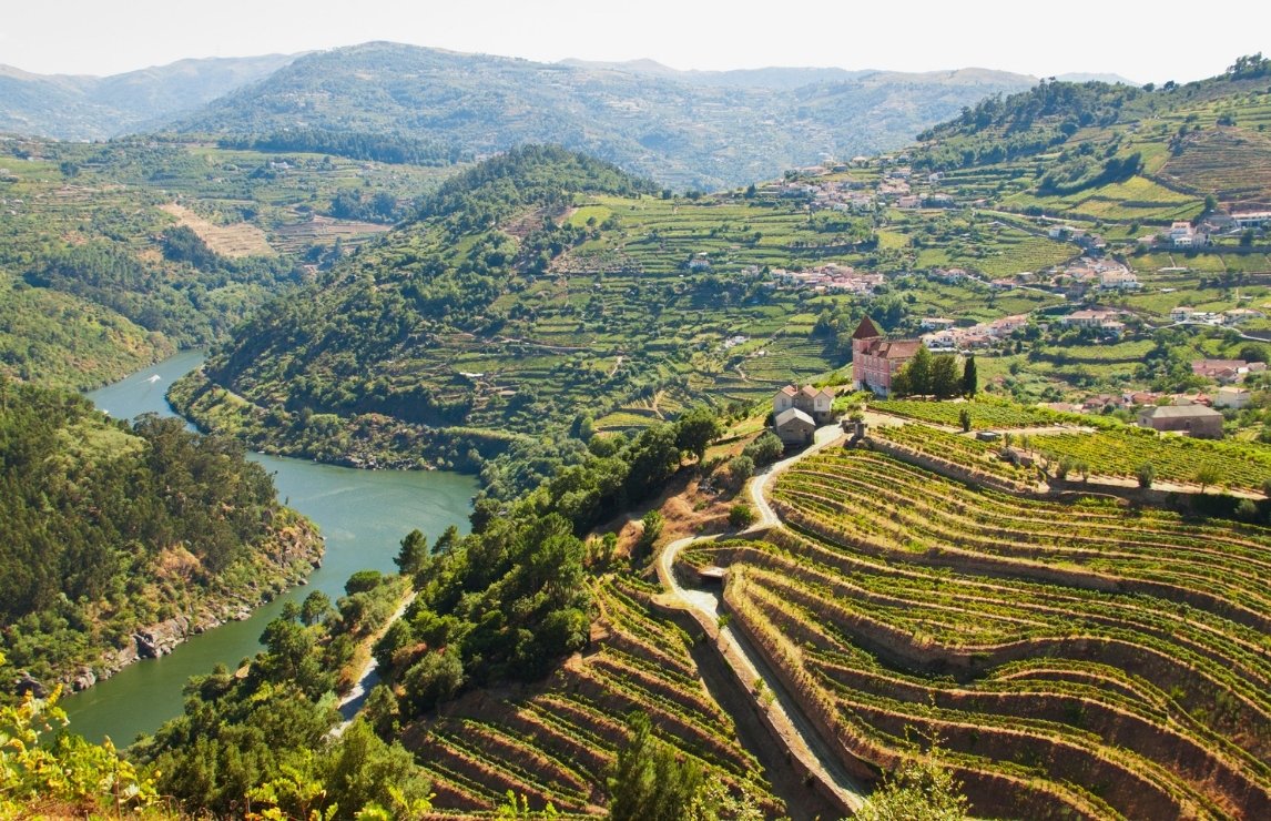douro-valley-in-portugal-where-port-is-produced.jpg