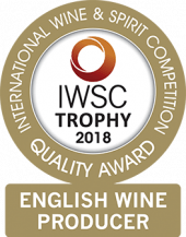 English Wine Producer Of The Year Trophy 2018