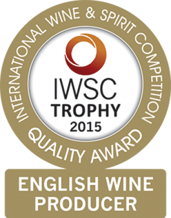 English Wine Producer Of The Year Trophy 2015