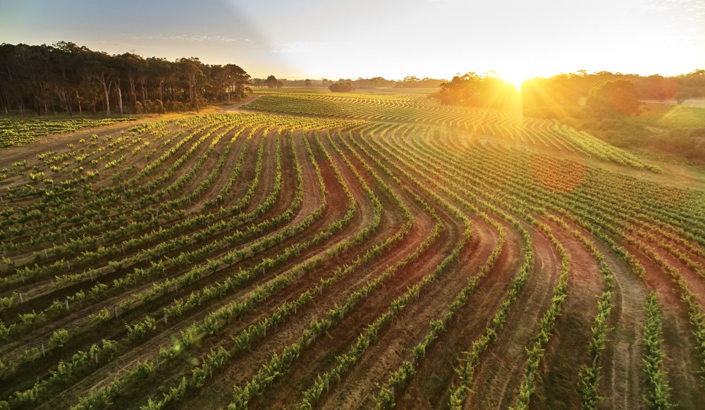 IWSC'S JUDGING IS HEADING DOWN UNDER