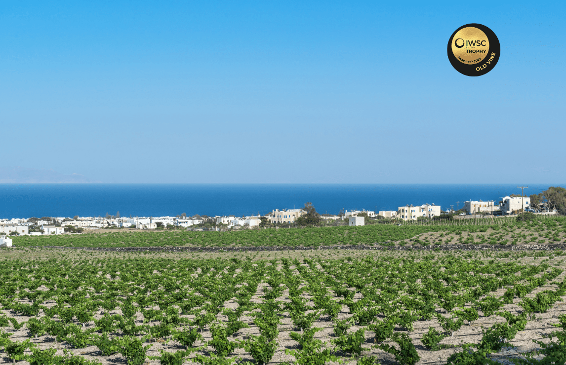 Estate Argyros wins IWSC Old Vine Trophy 