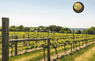 Langham Wine Estate wins IWSC 2025 Sparkling Wine Producer Trophy