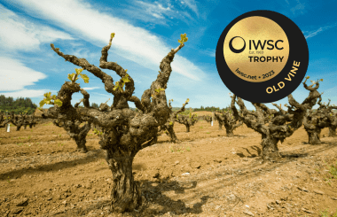 IWSC announces shortlist for 2023 Old Vine Trophy