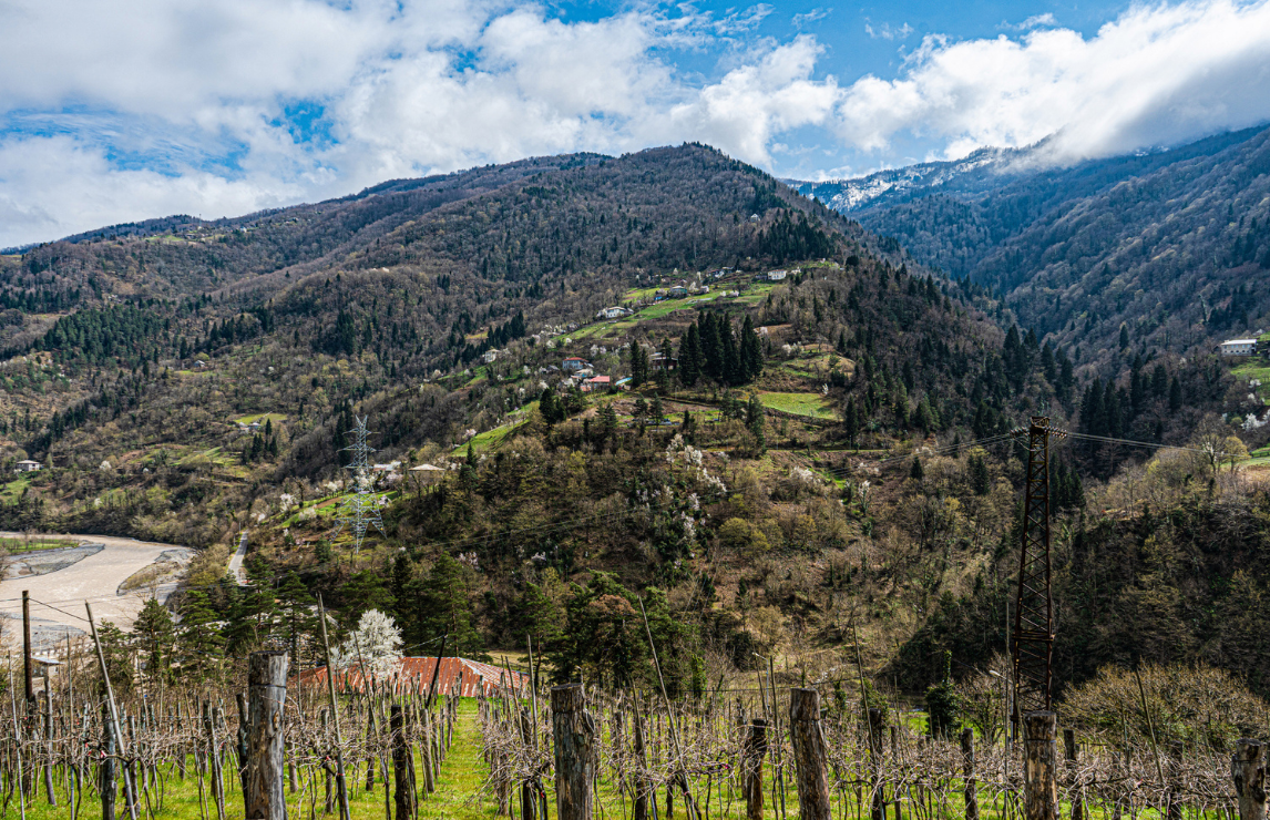 Discovering Georgian Wines and their Varied Terroirs