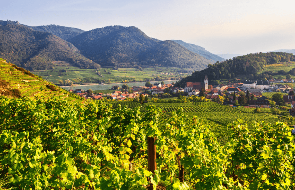 wine tours in austria