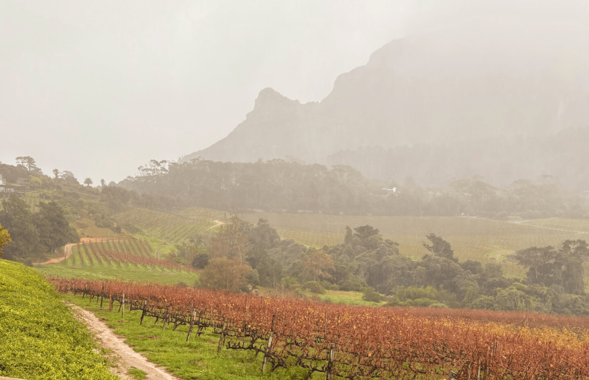 Judges' deliberations:  Standout sparkling and strong varietal showings from South Africa