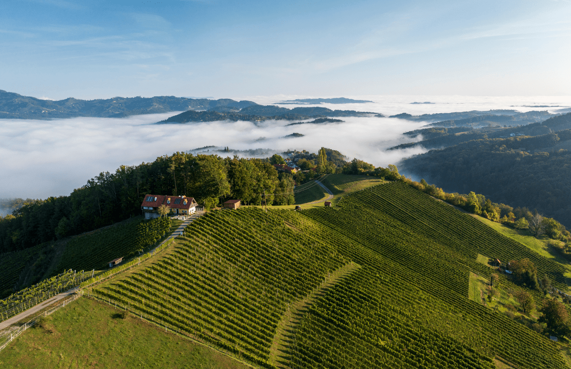 The 2025 results are out: IWSC Global Judging in Austria