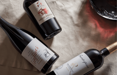 Castilla y León top-rated wines, recommended by expert tasters