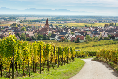 Top 8 Wines from Alsace – picked by the IWSC experts, in partnership with CIVA
