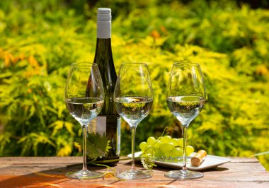 Top 15 German white wines, from Riesling to Silvaner