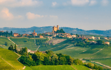 Best Barolo for winter sipping
