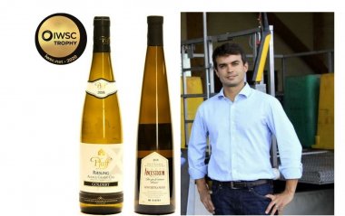 Trophy winner 2020: Pfaff Riesling 2018 & Cuvée Ancestrum Gewurztraminer 2018