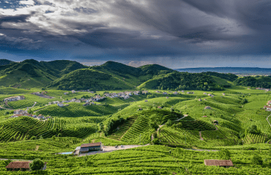 2022 Wine Judging: Tasting the sparkling wines of Conegliano Valdobbiadene Prosecco Superiore