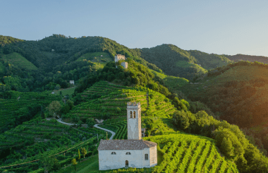 2022 Wine Awards: Incredible consistency rewarded with unprecedented medal result