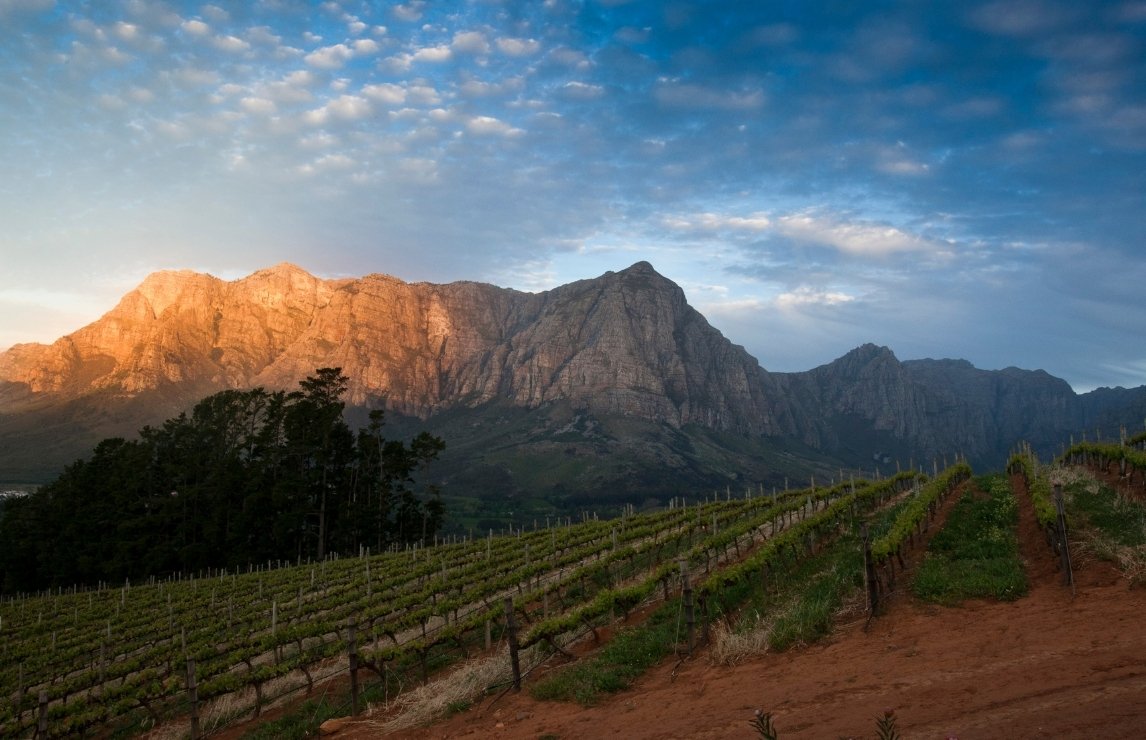 bartinney-vineyards.jpg