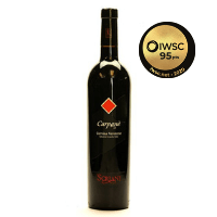 iwsc-best-italian-red-wines-5.png