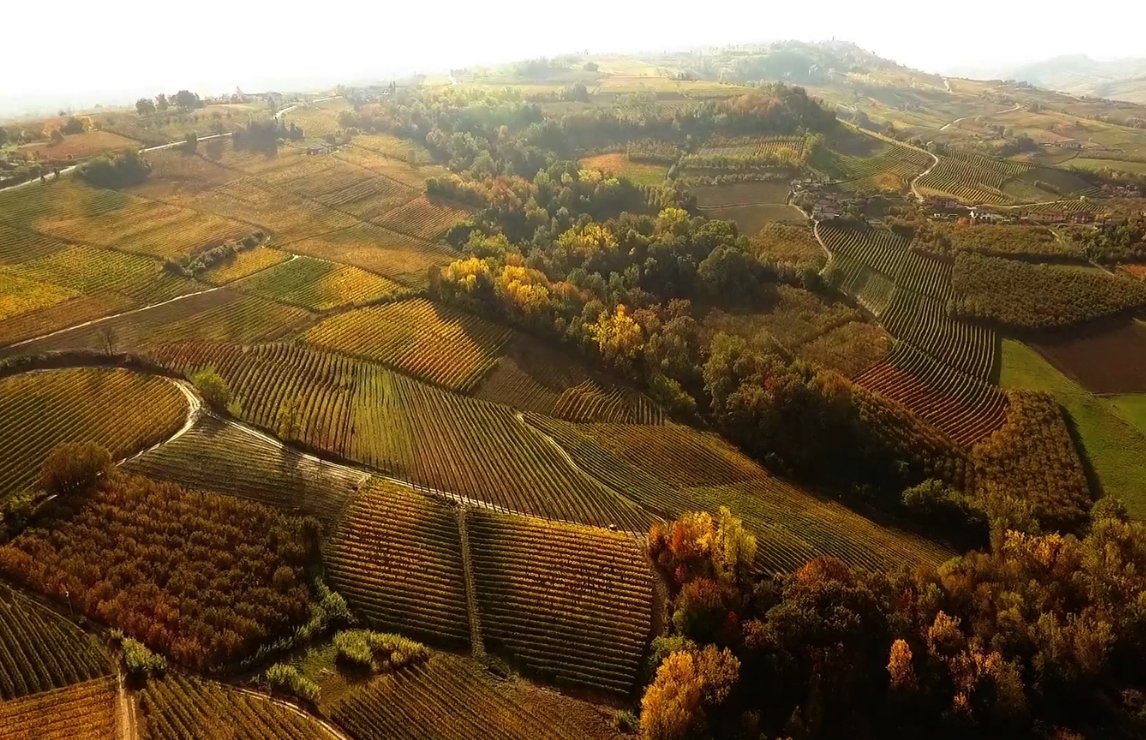 sordo-vineyards.jpg