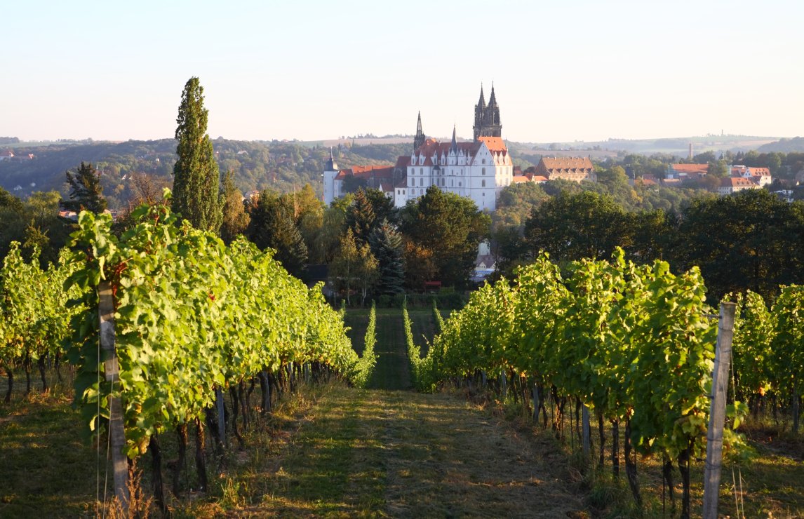 Wine judging in Austria