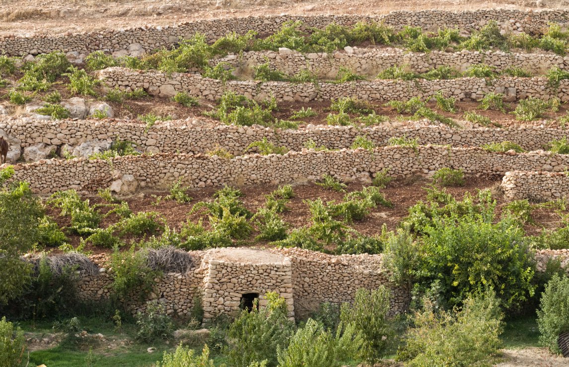 Wine judging in Türkiye, in partnership with Tuğrul Şavkay Turkish Wines Competition of Turkish Wine Lovers Association