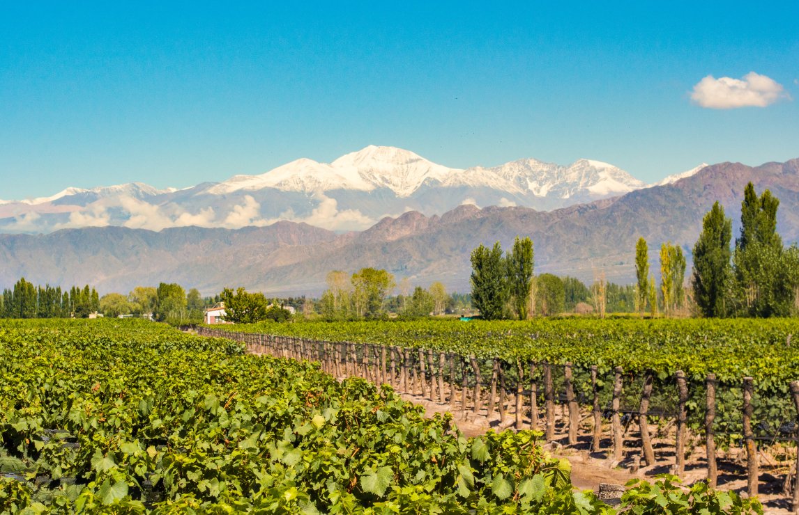 Wine judging in Argentina, with Wines of Argentina