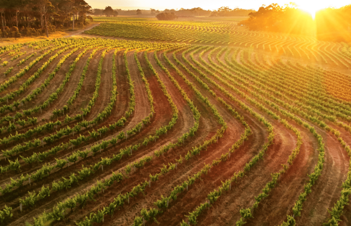 Wine judging in Margaret River with Margaret River Wine Association