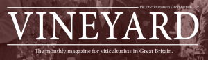 International Wine and Spirit Competition 2018